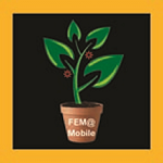 FEM@Mobile